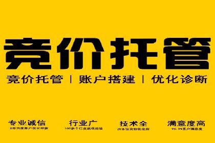 探索SEM竞价专员的技能要求与成功案例